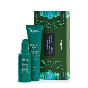 Aveda Botanical Repair Day & Night Gift Set Discontinued