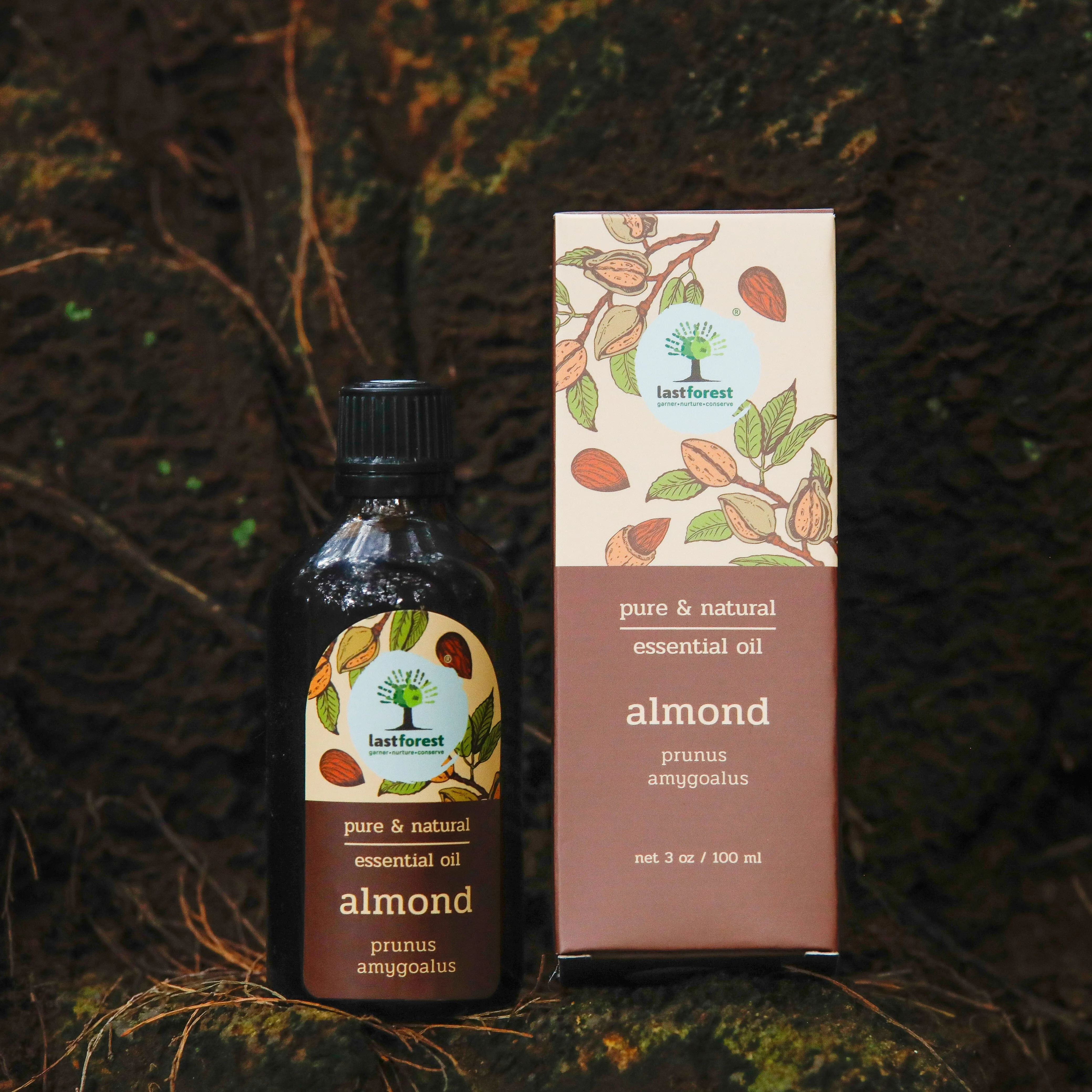 Last Forest Almond Oil, 100ml