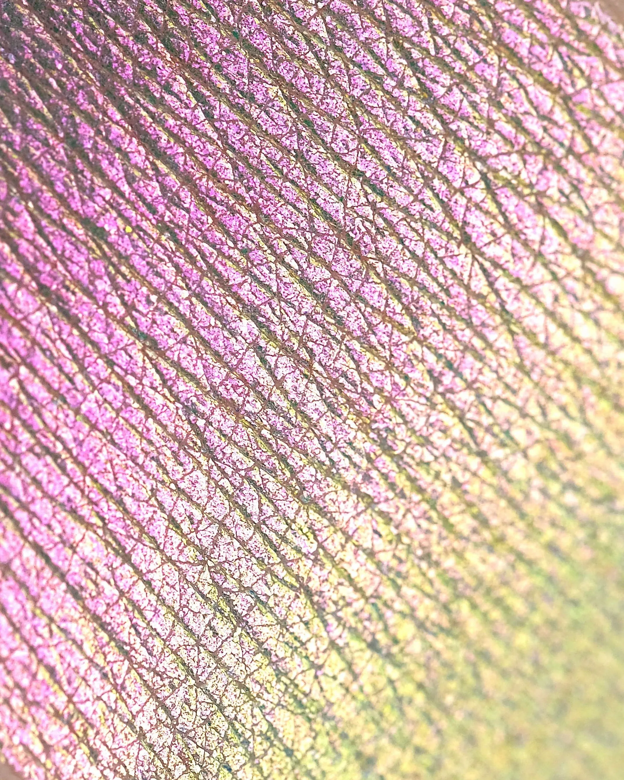 Opal Multichrome Pressed Eyeshadows